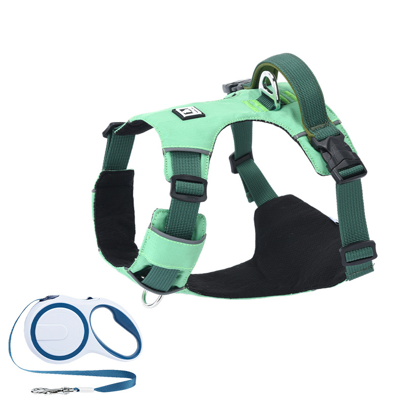 Σετ λουριού και θώρακα για σκύλους - ελαφρύ, διαπνέον, μη ελκτικό - κατάλληλο για μικρά σκυλιά, εξωτερικές βόλτες