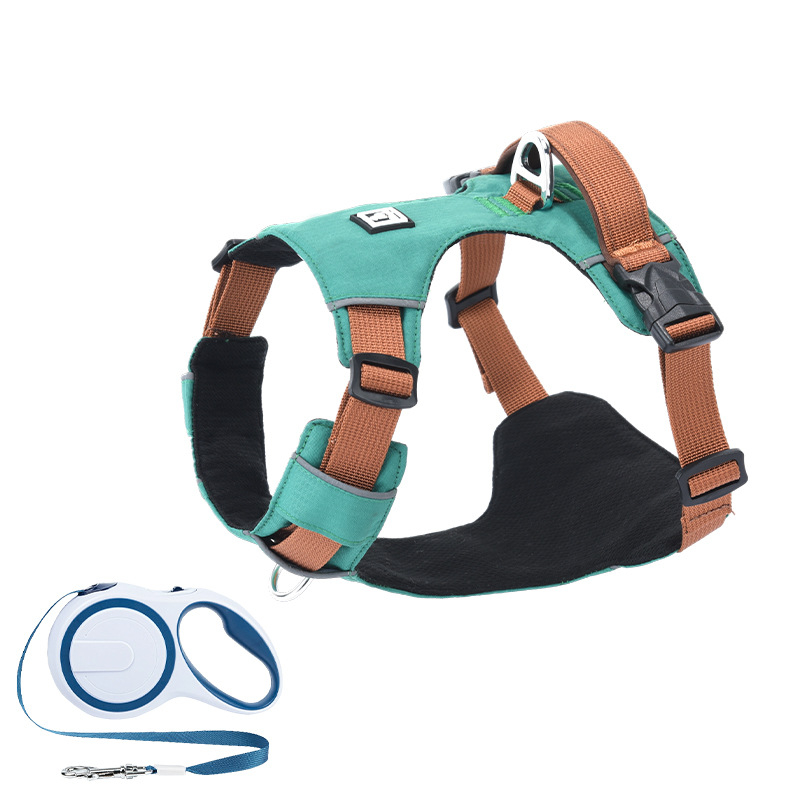 Σετ λουριού και θώρακα για σκύλους - ελαφρύ, διαπνέον, μη ελκτικό - κατάλληλο για μικρά σκυλιά, εξωτερικές βόλτες