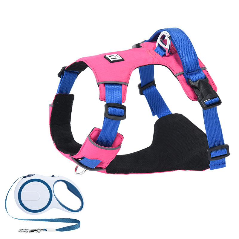 Σετ λουριού και θώρακα για σκύλους - ελαφρύ, διαπνέον, μη ελκτικό - κατάλληλο για μικρά σκυλιά, εξωτερικές βόλτες