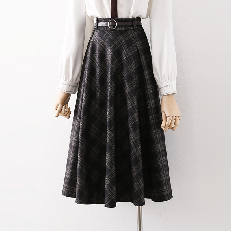 Izlīdzināta puse ķermeņa svārki - No-Iron apstrāde, vidēja elastīgums, 2024. gada rudens, Modelis: Cits