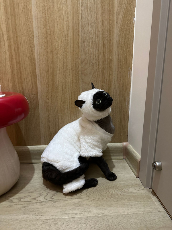 Odjeća za četveronožne kućne ljubimce za mačke Sphynx/Devon – crtani stil, zecje krzno, unisex, PAIIJRY