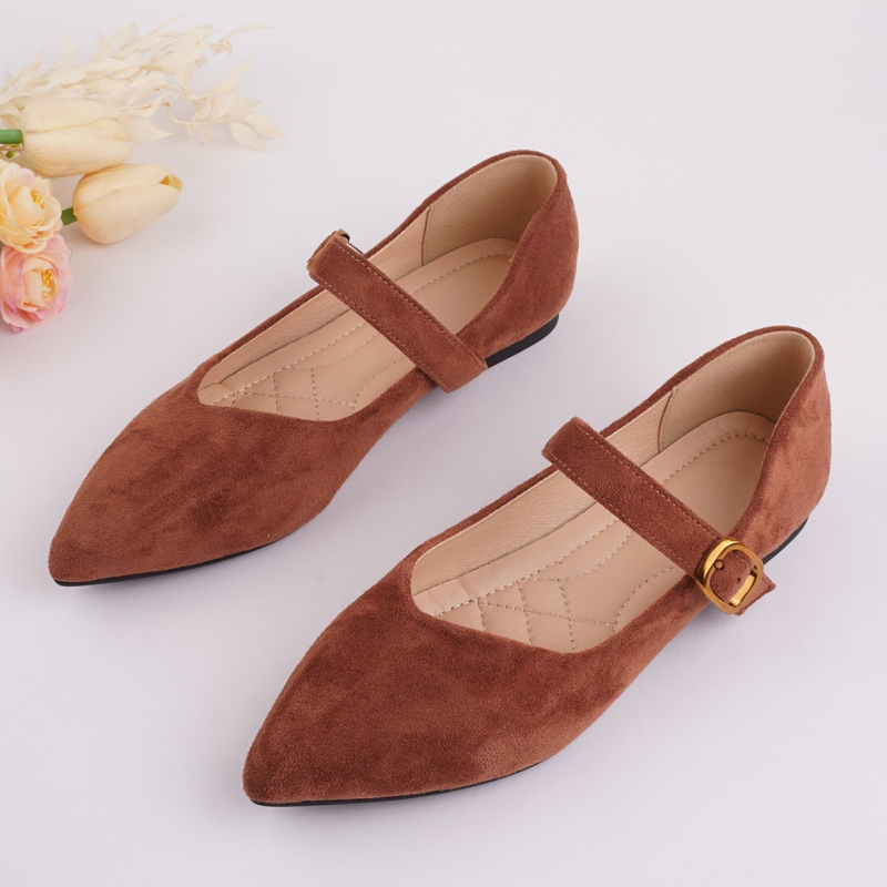 Mary Jane ženske cipele s oštrim nosom, kaišem s kopčom i niskom petom