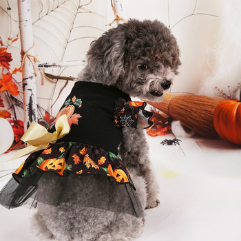 Κουτάβι Halloween Κουστούμι — Φόρεμα Μάγισσας με Θέμα Κολοκύθας, Πολυεστέρας-Βαμβάκι, Ευρωπαϊκό και Αμερικανικό Στυλ, Κωδικός PET-DMGD464, για Θηλυκά