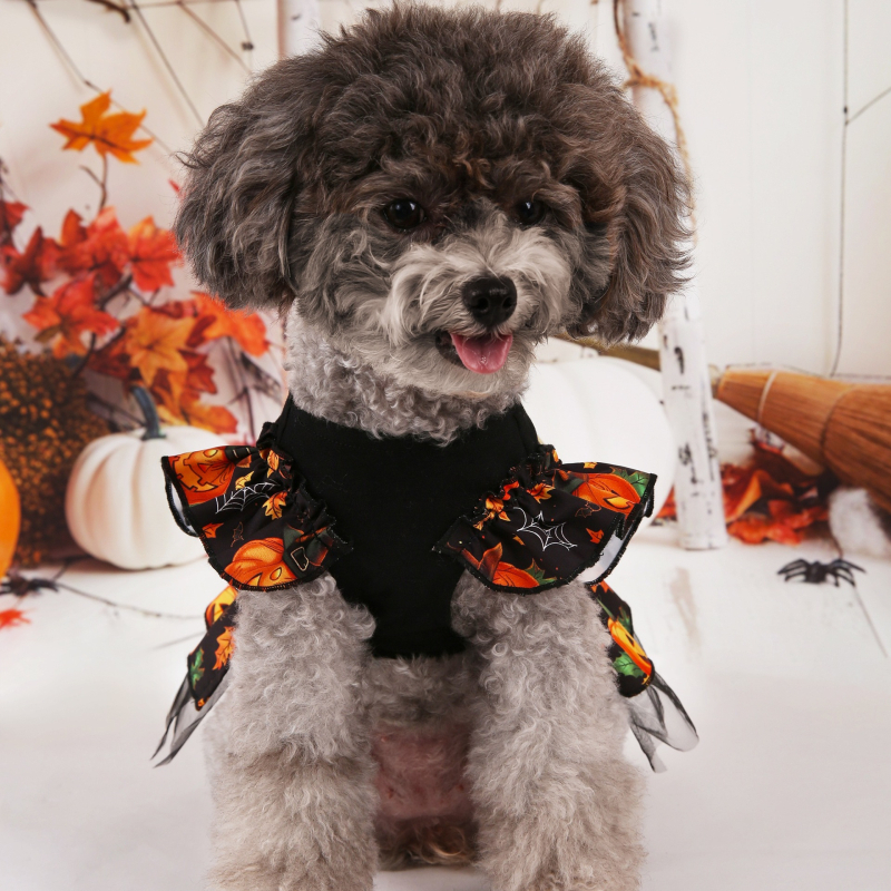 Suņu Helovīna kostīms — raganas kleita, poliestera-kokvilnas maisījums, Eiropas un Amerikas stils, preces kods PET-DMGD464, sievietēm