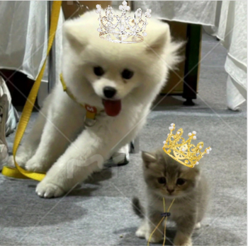 Κορώνα για σκύλους με ρυθμιζόμενο σκοινί, κορώνα από κράμα σε βρετανικό στυλ, κατάλληλη για γάμους, γενέθλια και Ημέρα του Αγίου Βαλεντίνου.