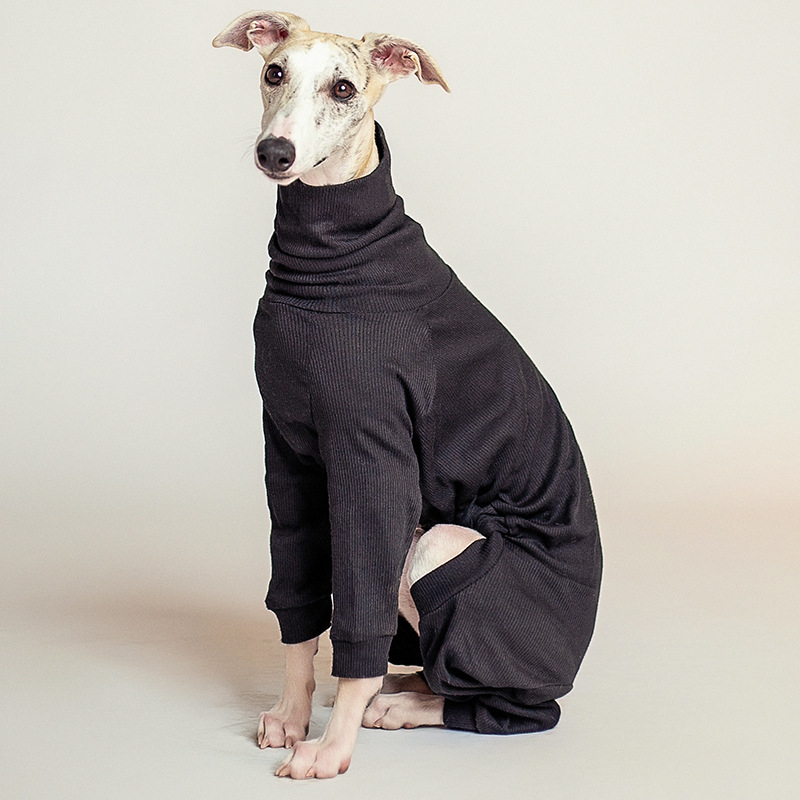 Suņa apģērbs rudens–ziema, silts, augsta kakla, četru kāju dizains ar kokvilnas pildījumu