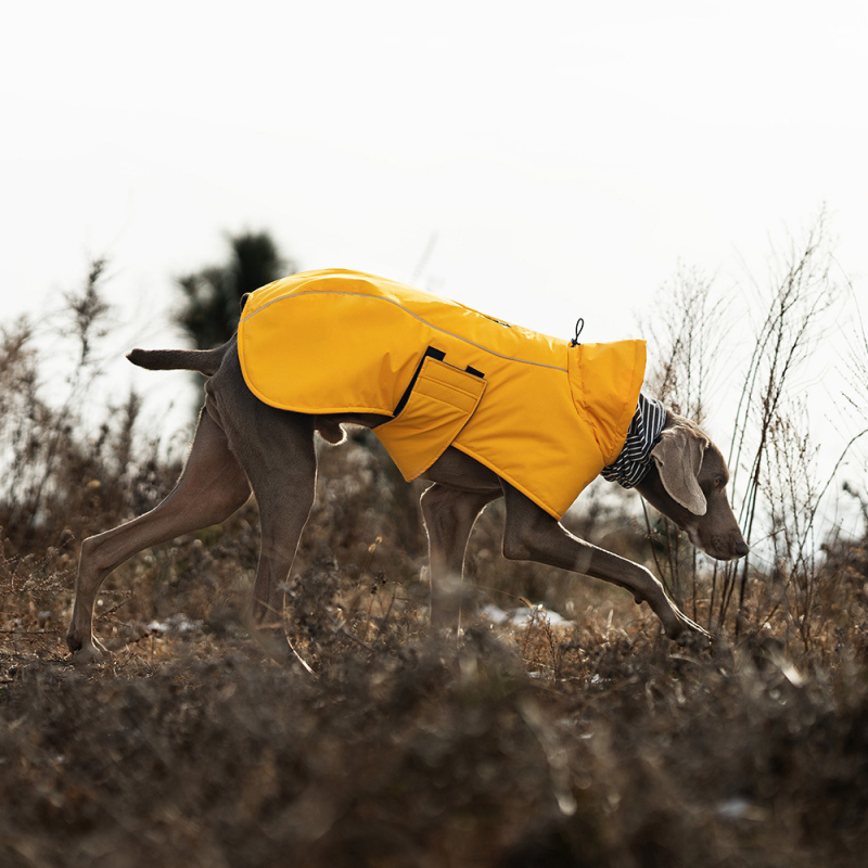 Suņa vēja aizsardzības jaka ar dubultu apkakli un kapuci (Poliesteris, vēja aizsargs, ārējais stils, D121, Weichong Beier)