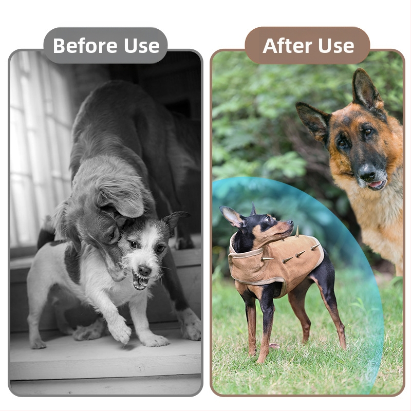 Vonkajšia vesta pre psov – priedušná, štít proti uhryznutiu, ochrana proti trhaniu, nastaviteľná pracka, PD10077, DogLemi