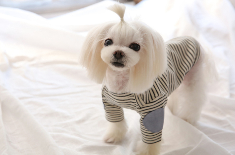 Poliestera apģērbs mājdzīvniekiem, ikdienas stils, svītrainā fleece veste, modelis 196, Zhejiang