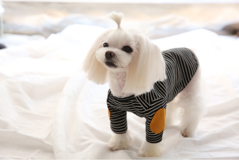 Poliestera apģērbs mājdzīvniekiem, ikdienas stils, svītrainā fleece veste, modelis 196, Zhejiang