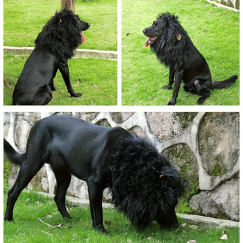 Περούκα-καπέλο σκύλου με λιοντάρικα αυτιά – μονόχρωμο πολυεστέρας, μηχανικά υφαντό, σατινέ φινίρισμα, Halloween