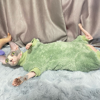 Ρούχα για τετράποδη γάτα με ενισχυμένη προστασία κοιλιάς, βελούδο δύο όψεων, πολυεστέρας, χαλαρό στυλ για φθινόπωρο-χειμώνα