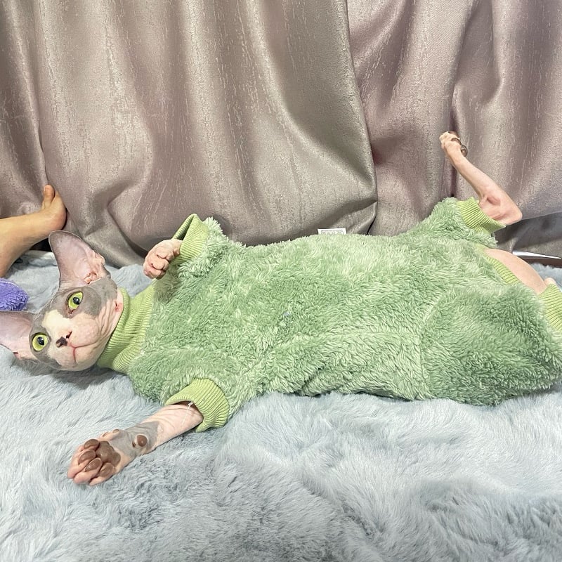 Odjeća za mačke sa četiri šape, zaštita trbuha, dvostrani baršun, poliester, ležernog stila, jesen-zima