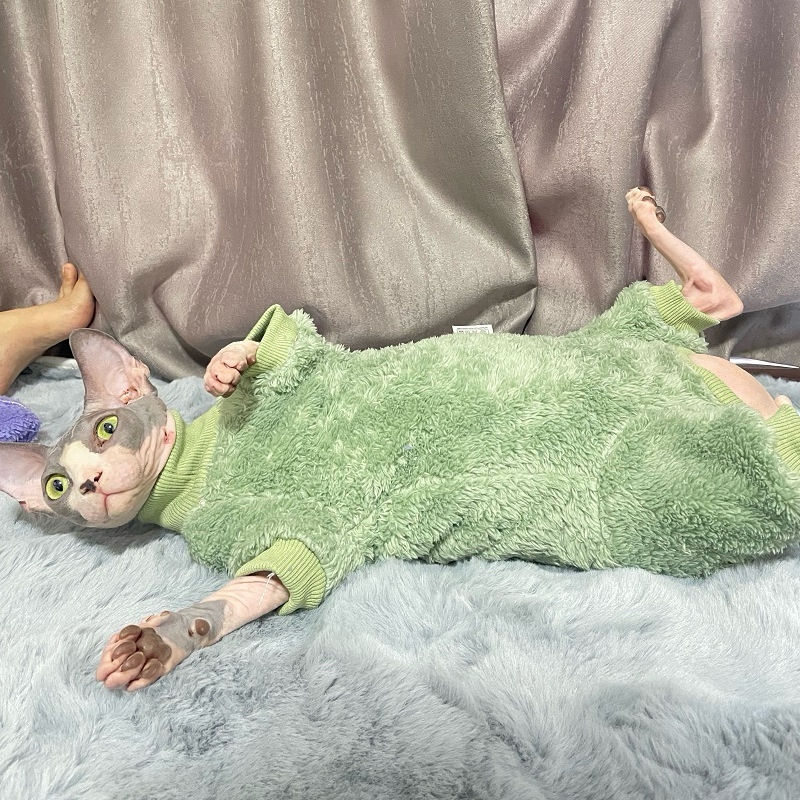 Odjeća za mačke sa četiri šape, zaštita trbuha, dvostrani baršun, poliester, ležernog stila, jesen-zima