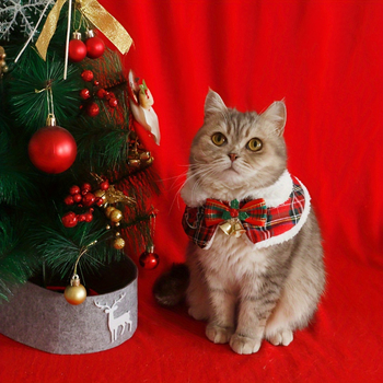 Kisállat sál Coral Fleece | Sleepwear, Termékszám jd601099693009972, Határokon átívelő kizárólagos export