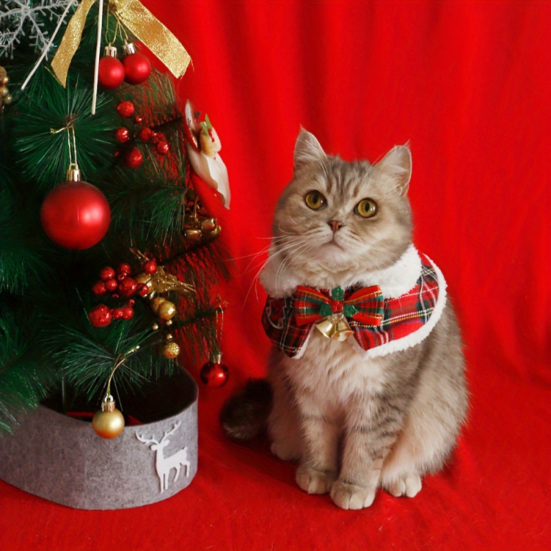 Kisállat sál Coral Fleece | Sleepwear, Termékszám jd601099693009972, Határokon átívelő kizárólagos export