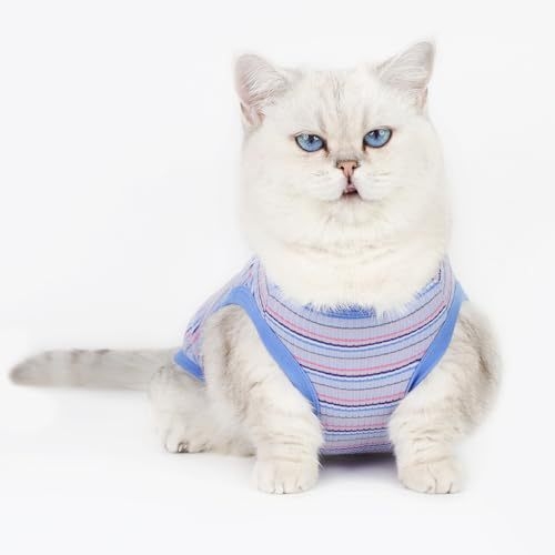 Pamutból készült kisállat mellény, európai-amerikai stílus, univerzális szabás