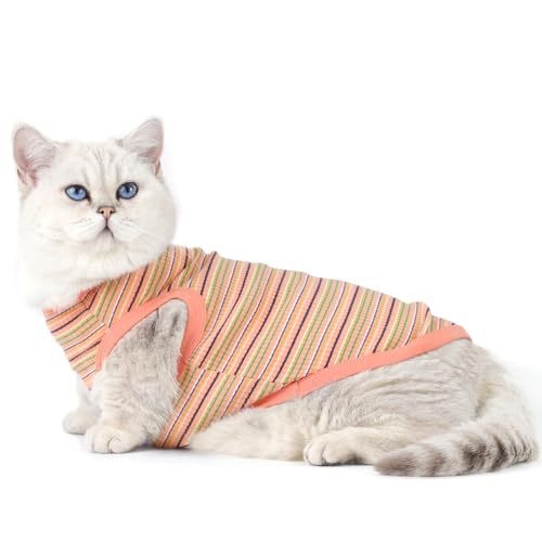 Pamutból készült kisállat mellény, európai-amerikai stílus, univerzális szabás