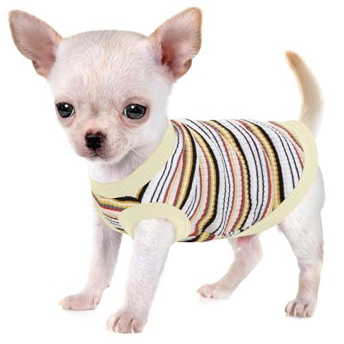 Pamutból készült kisállat mellény, európai-amerikai stílus, univerzális szabás