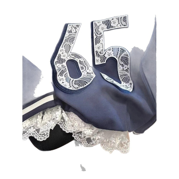 Τοπ με δαντελένιο V-λαιμό και κέντημα, Α-γραμμή, κανονικό μήκος, πολυεστερικό ύφασμα με πλέγμα