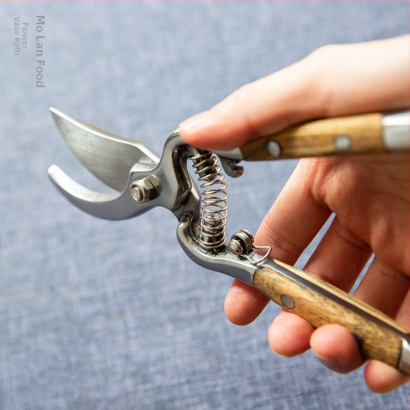 Nerezové nožnice na konáre pre domácu záhradu