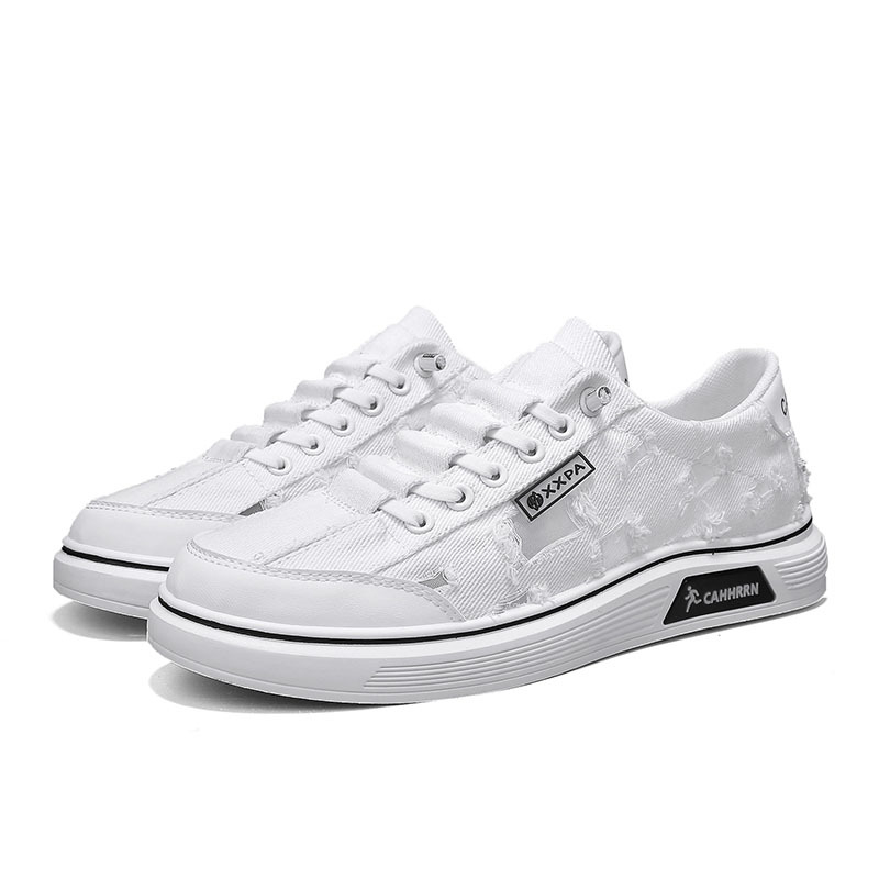 Muške tenisice od platna, casual stil, s vezivanjem, niski kroj, okrugli vrh prsta