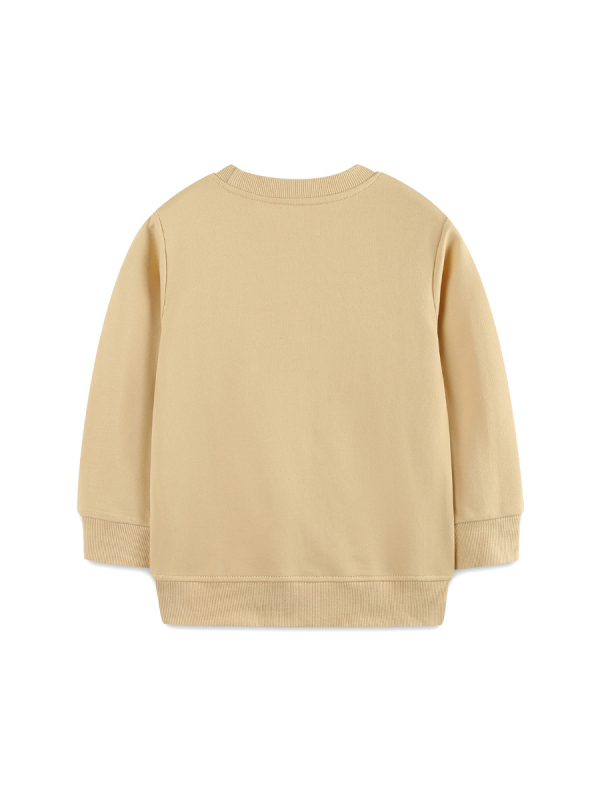 Dječji pamučni pleteni pulover s izvezom autom, okrugli izrez, dugi rukavi, euro-američki stil, za djecu 3–8 godina, jesen 2025