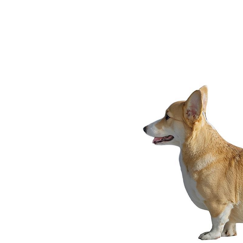 Suņa tualete vannas stilā ar dzelzs režģi, pret šļakatām, viegli tīrāma, viengabala dizains