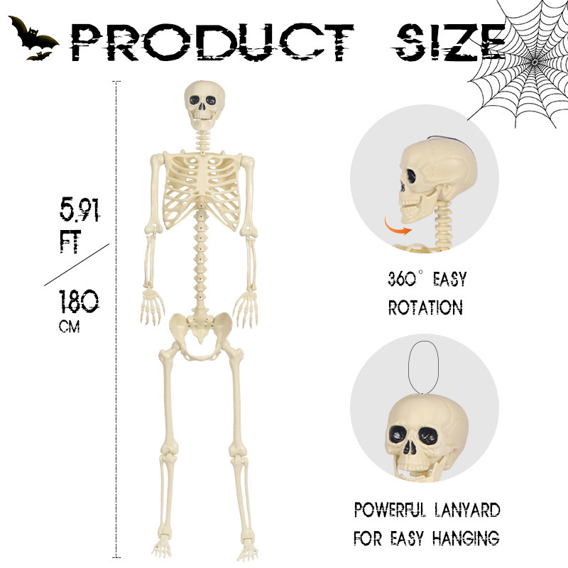 Plastmassist Halloween'i skelet – rippuv dekoratsioon, rekvisiit ruumide kujundamiseks kummitusmajas