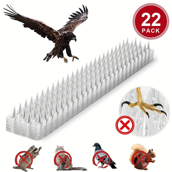 Plastmassist koeraaed laieneb spikeidega