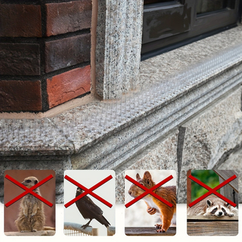 Plastmassist koeraaed laieneb spikeidega