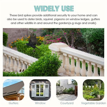 Plastmassist koeraaed laieneb spikeidega