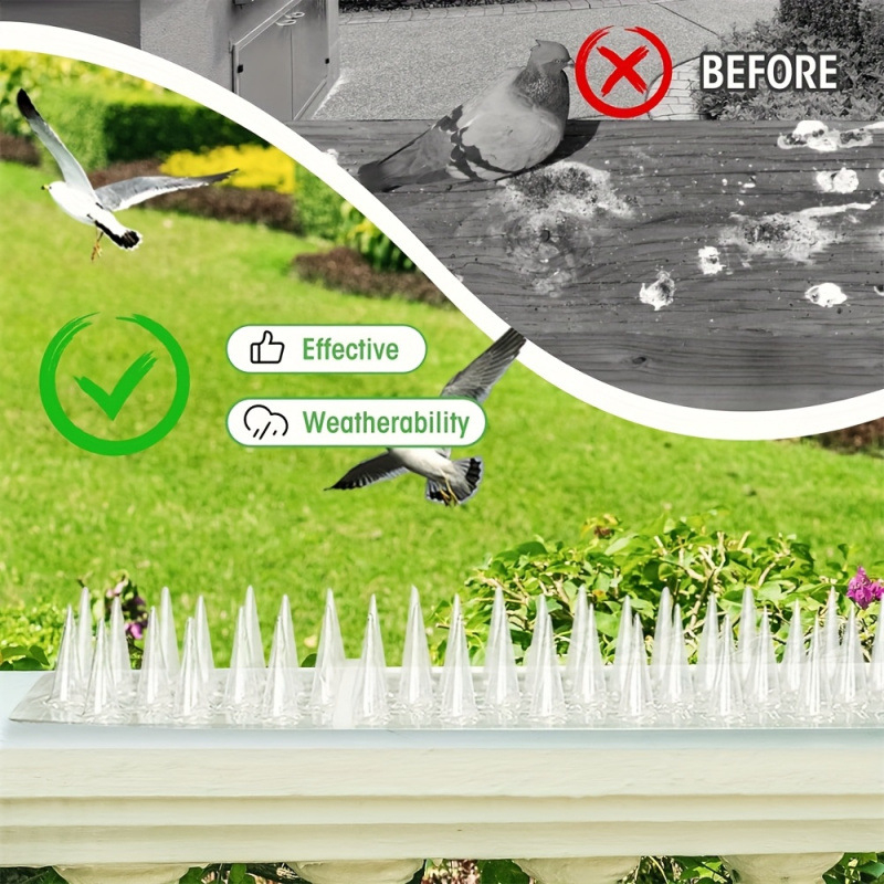 Plastmassist koeraaed laieneb spikeidega