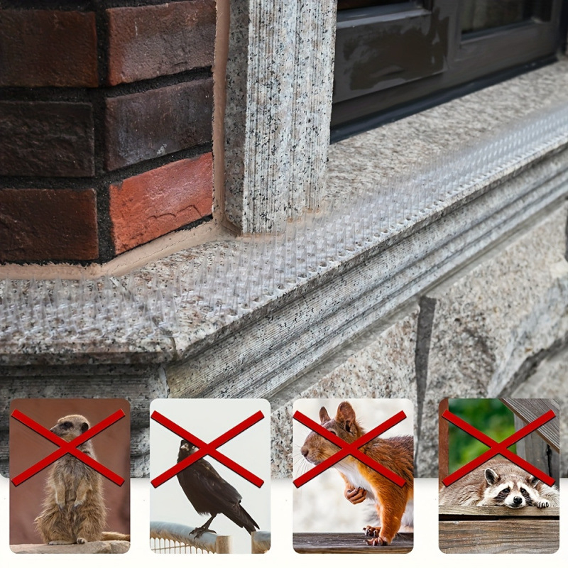 Plastmassist koeraaed laieneb spikeidega