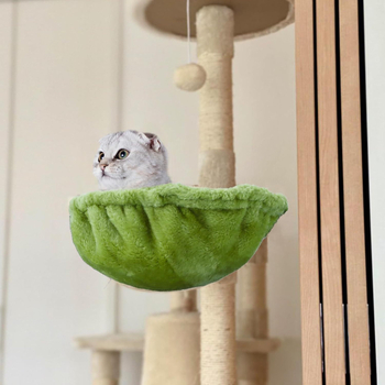 Kassi puu hamakas sügava korviga - kunstkarva, Huachuang Hczm, armas stiil