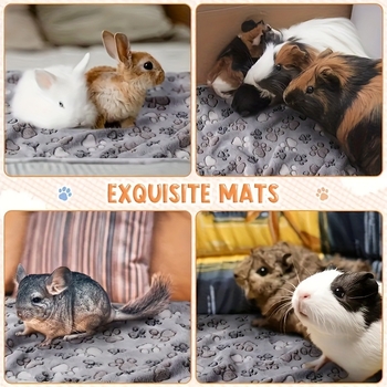 Koera voodi - materjal: raudtraat; tootekood: jd601102130350775; kategooria: voodi; sobib: koer