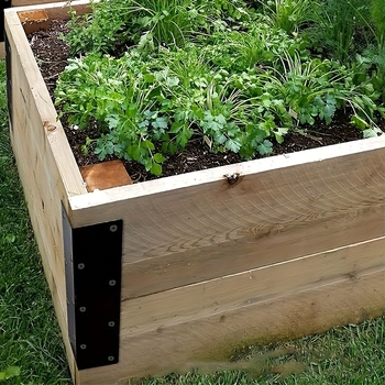 Raudse raami konks TM005 — Yangsheng Technology, kaasaegne minimalistlik stiil, küpsetatud värvi viimistlus, koduseks kasutamiseks