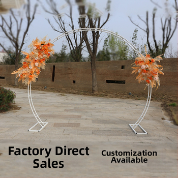 Raudne pulmarbaloonide arka, kahevarbaga raam, kohandatav töötlemine, litsentsitud privaatne märgis