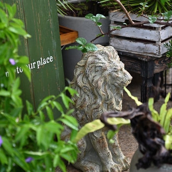 Aia lõvi skulptuur - väline dekoratsioon, stiil: Korea versioon, tootekood T733925972588, sobiv ärikingitusena