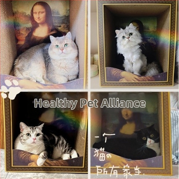 Mona Lisa inspireeritud kassi pesa ja kraapimislaud, kulumiskindel pind, õlimaal-stiilis trükk, gofreeritud paberi konstruktsioon, lihtne stiil