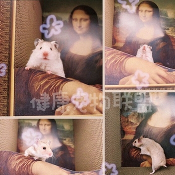 Mona Lisa inspireeritud kassi pesa ja kraapimislaud, kulumiskindel pind, õlimaal-stiilis trükk, gofreeritud paberi konstruktsioon, lihtne stiil