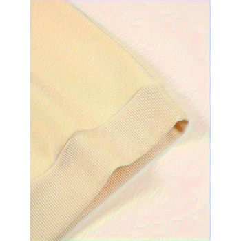 Ženska casual mikina s okruglim izrezom, duge rukave, normalna duljina, 90–95% poliester