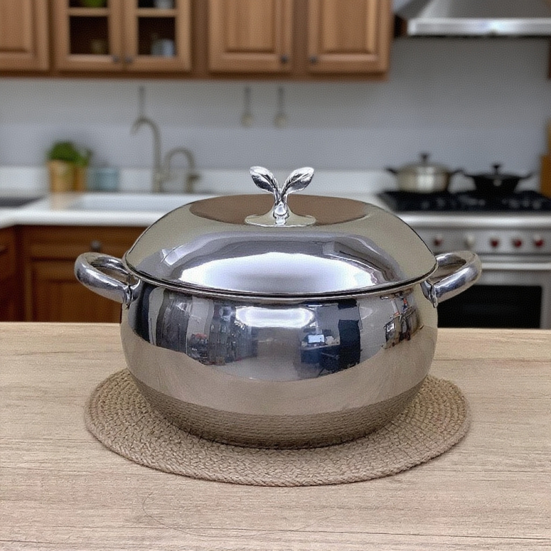 Nerezový hrniec na polievku, zosilnený dizajn s dvomi uchami, nepriľnavý povrch, objem 2,1–4 l