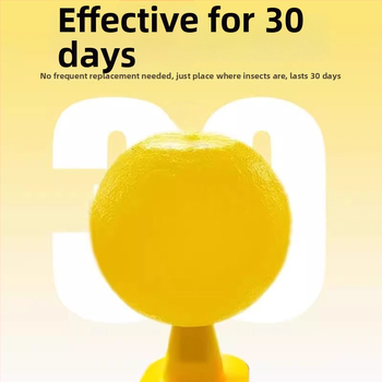 Lapač ovocných mušiek do interiéru — PP materiál, jednoduchý dizajn, netoxický, bez parfumácie