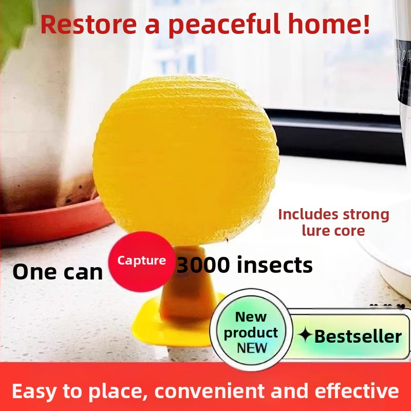 Vidaus vaisinių musių gaudyklė — PP medžiaga, paprastas dizainas, nekaitinga, be kvapo