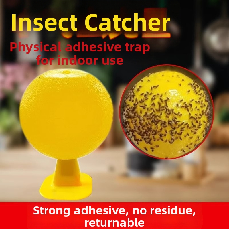 Lapač ovocných mušiek do interiéru — PP materiál, jednoduchý dizajn, netoxický, bez parfumácie