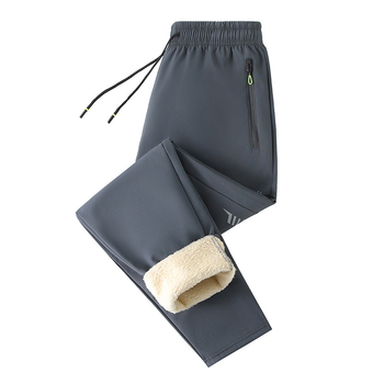 Meeste talve püksid fleecevoodriga, vaba lõige, keskmine talje, paks polüestri vooder