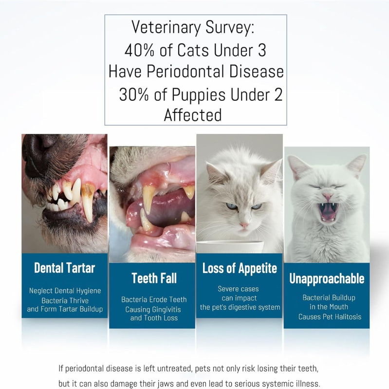 Set zubných kefiek pre domáce zvieratá s mäkkými štetinami – čistenie plaku na jazyku, bielenie zubov a starostlivosť o parodontálne zdravie pre mačky, psy a zajace