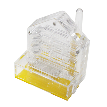 Akrýlové mravčie hniezdo na chov – na kŕmenie, 380 g