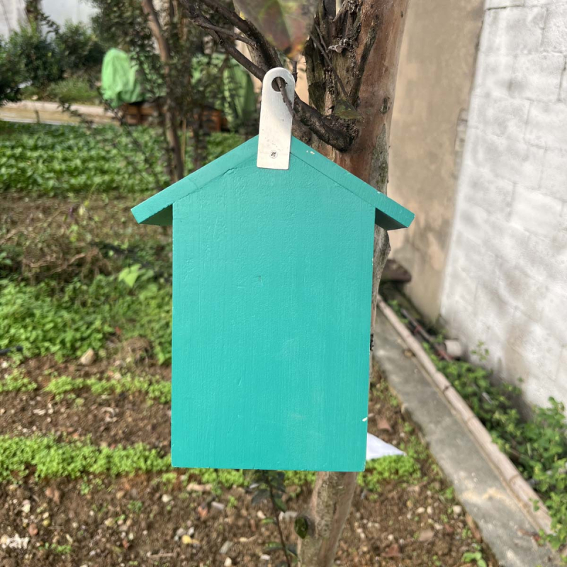 Drevený dom pre včely, na stenu, biotop pre hmyz s prírodnou bambusovou trubkou